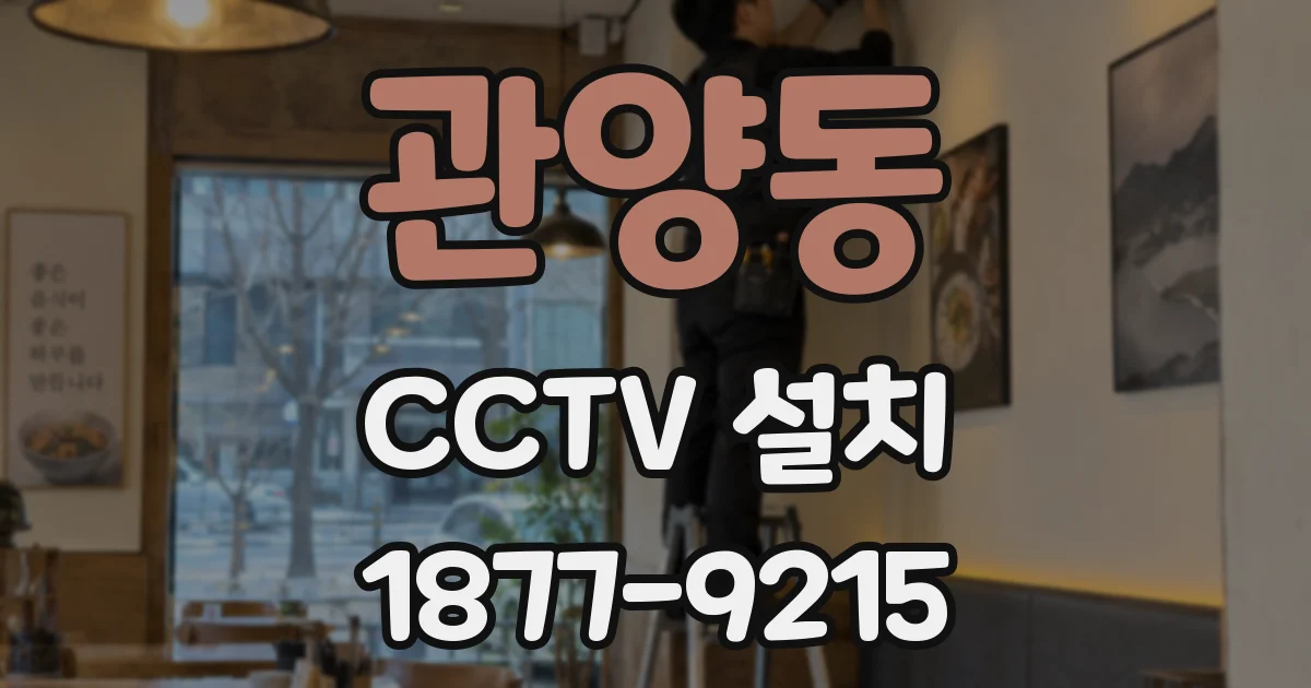관양동 CCTV 설치
