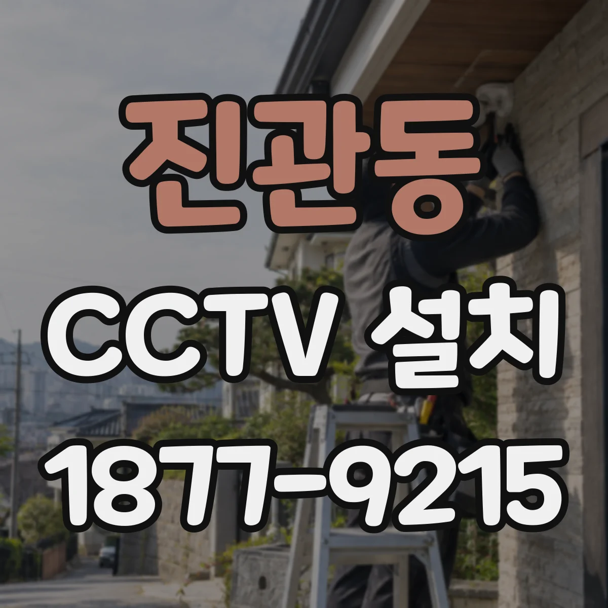 진관동 CCTV 설치