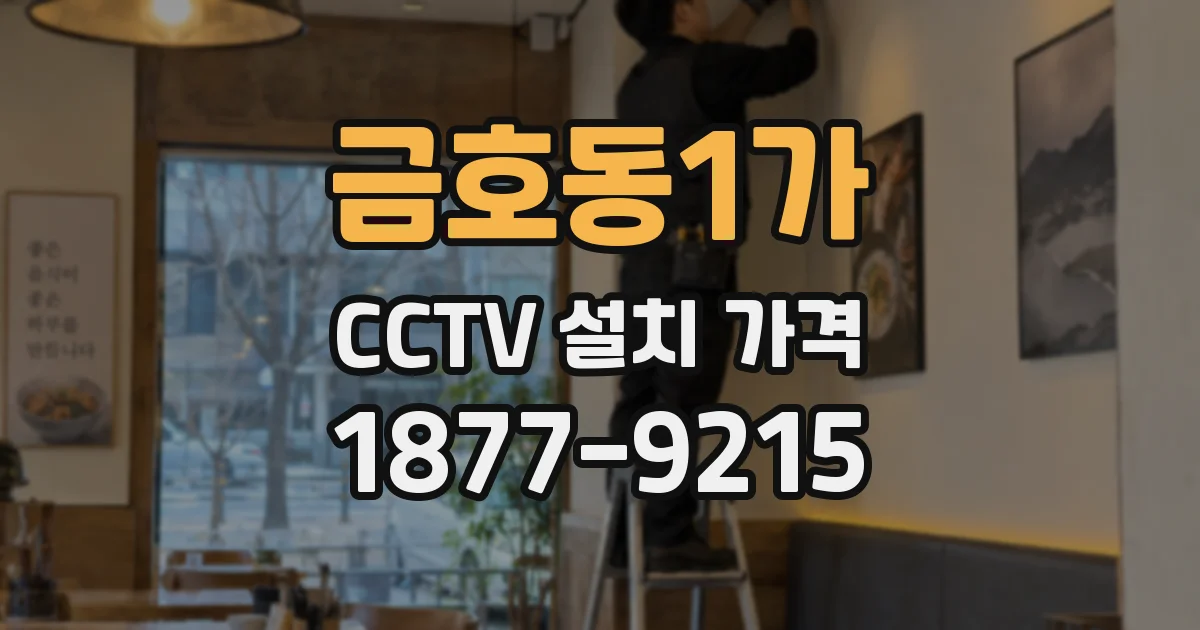 금호동1가 CCTV 설치 가격