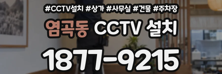 염곡동 CCTV 설치