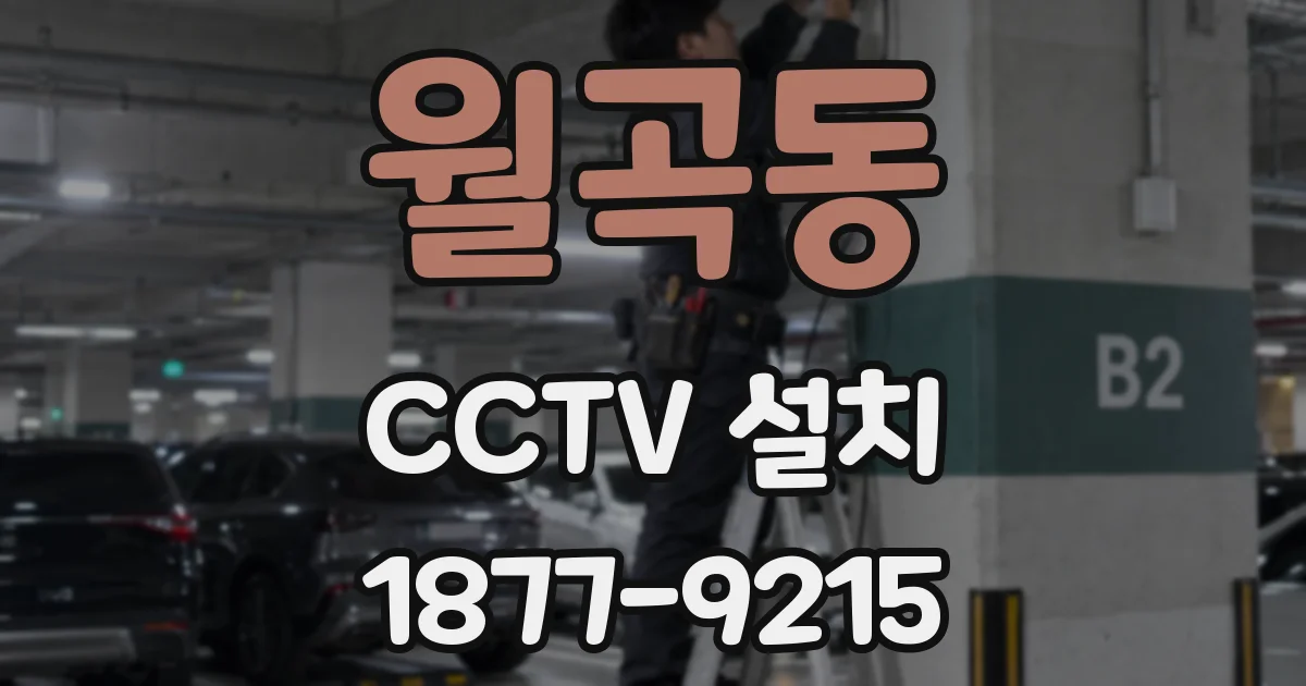 월곡동 CCTV 설치