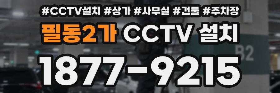 필동2가 CCTV 설치