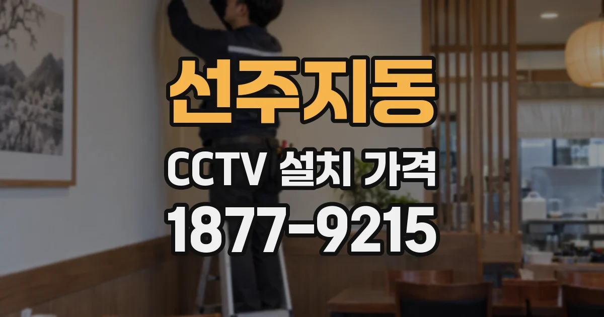 선주지동 CCTV 설치 가격