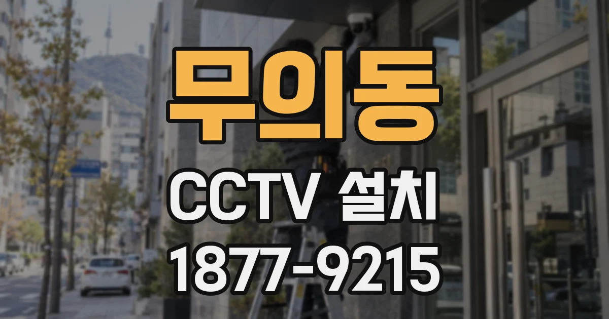 무의동 CCTV 설치