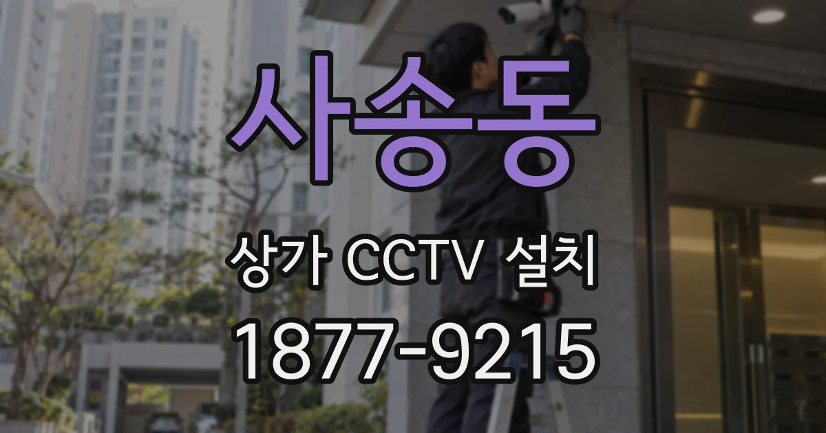 사송동 상가 CCTV 설치