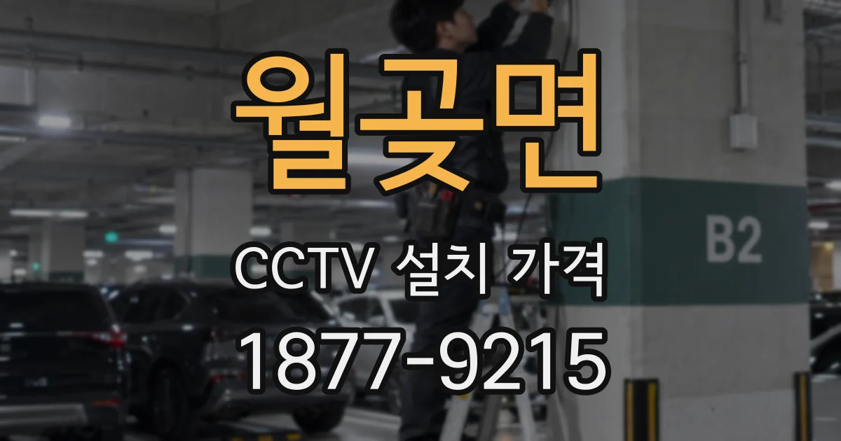 월곶면 CCTV 설치 가격