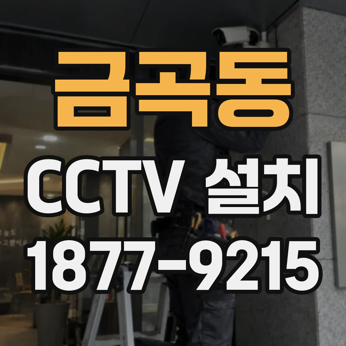 금곡동 CCTV 설치