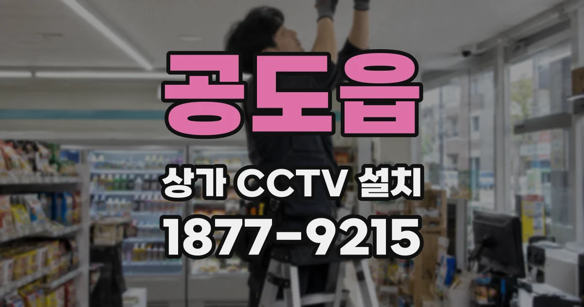 공도읍 상가 CCTV 설치