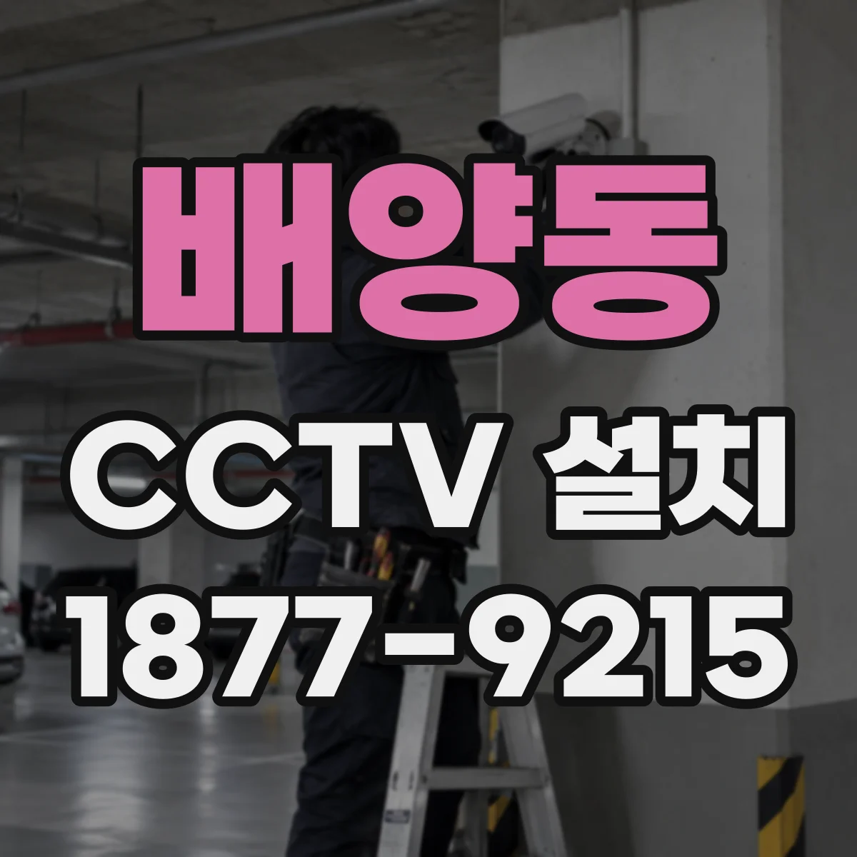 배양동 CCTV 설치