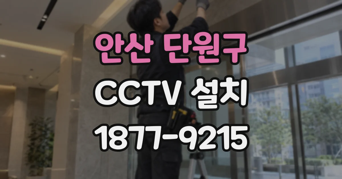 안산 단원구 CCTV 설치