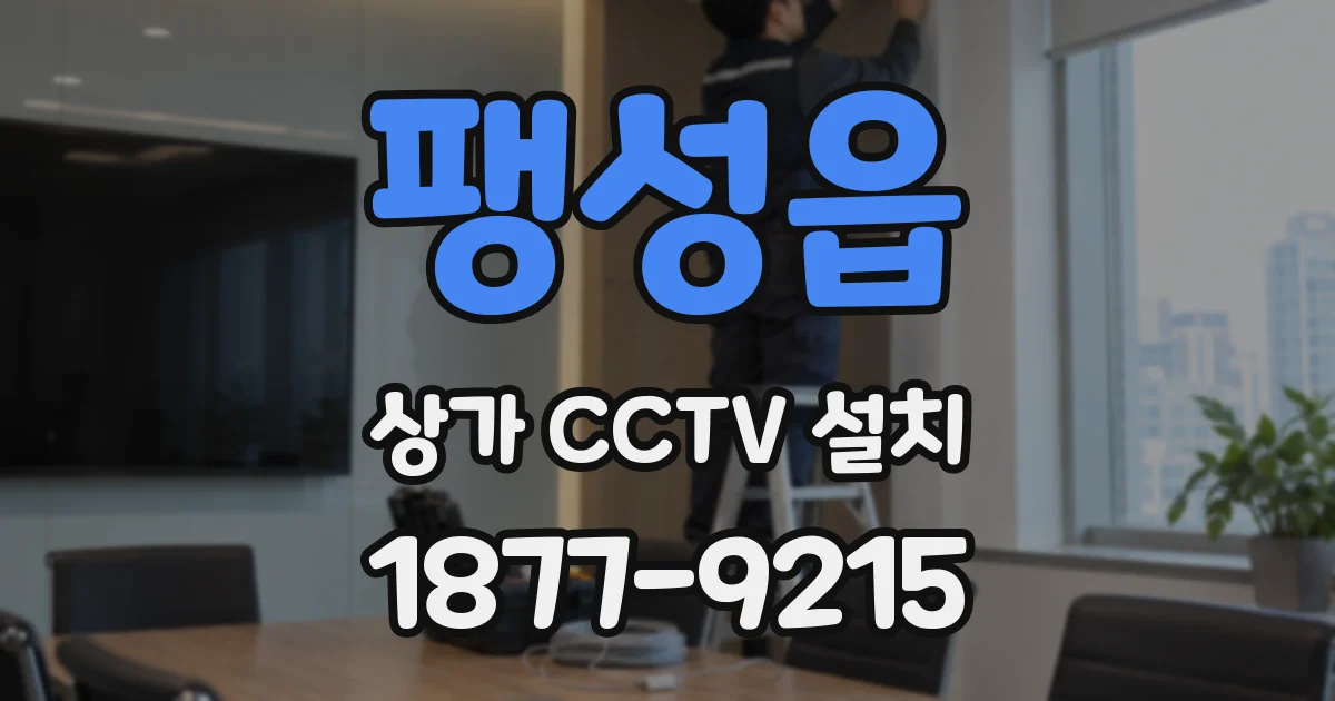 팽성읍 상가 CCTV 설치