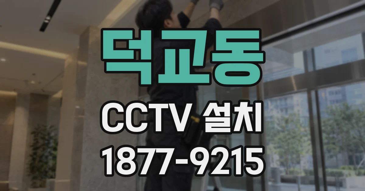 덕교동 CCTV 설치