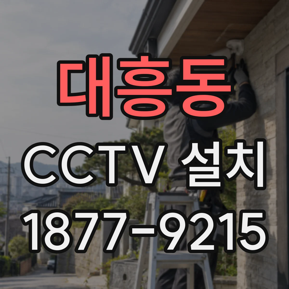 대흥동 CCTV 설치