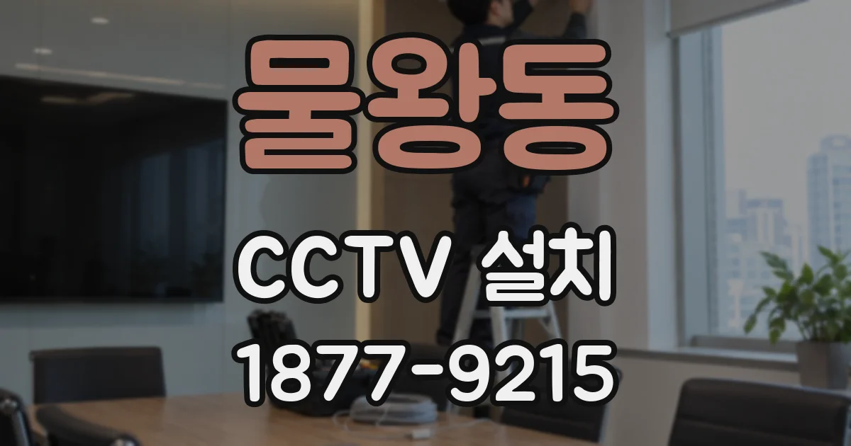 물왕동 CCTV 설치