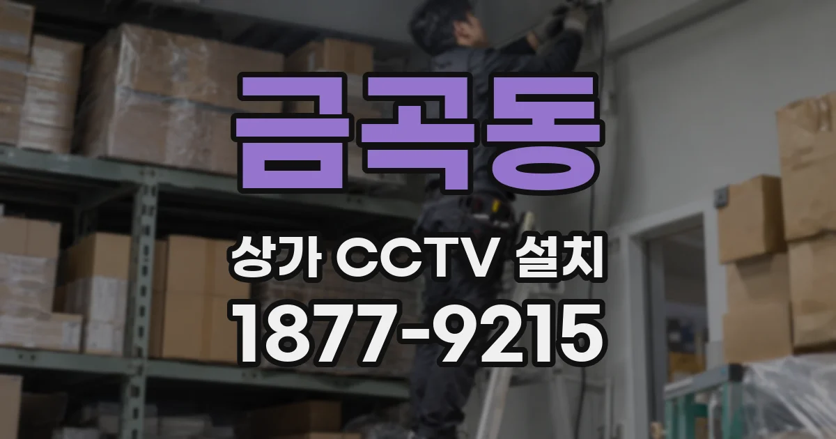 금곡동 상가 CCTV 설치