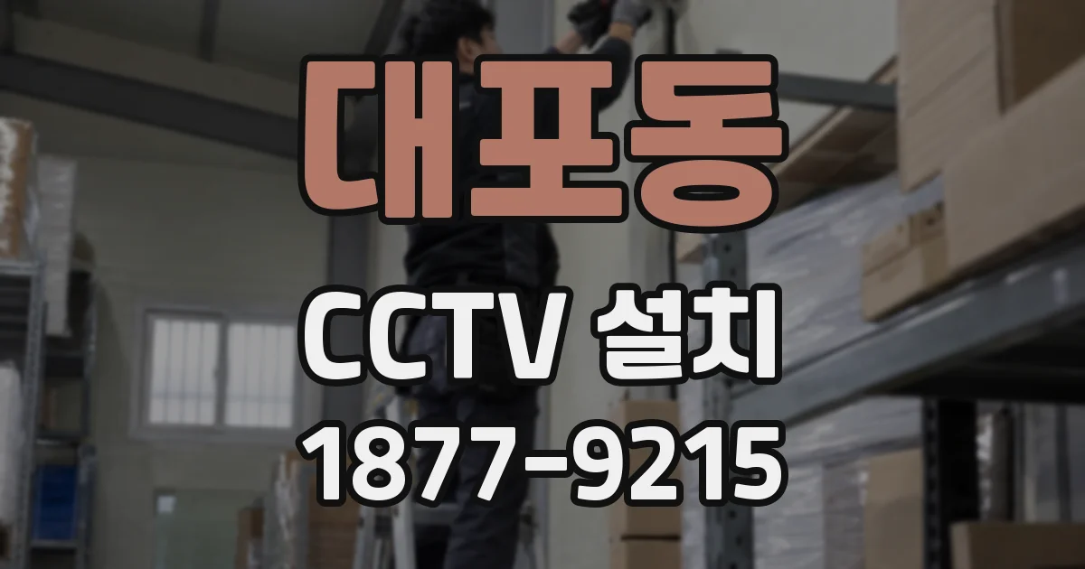 대포동 CCTV 설치