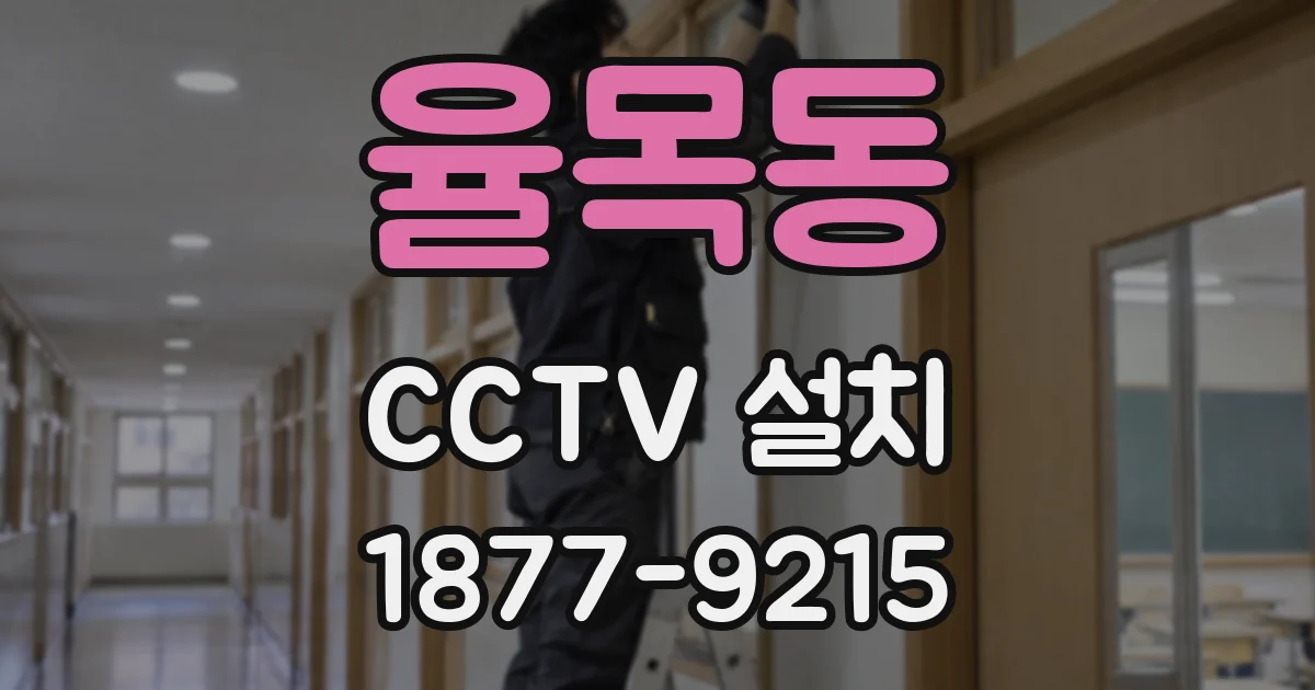 율목동 CCTV 설치