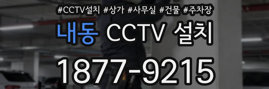 내동 CCTV 설치