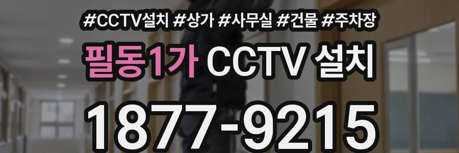 필동1가 CCTV 설치