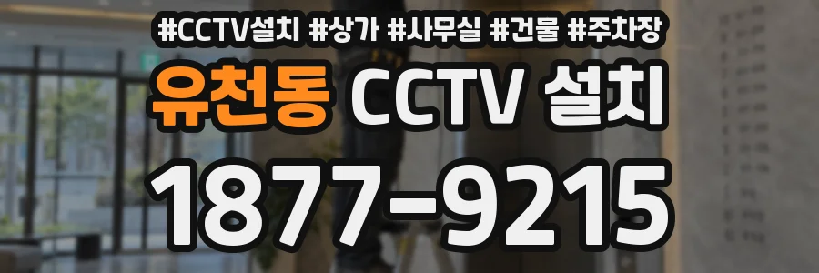 유천동 CCTV 설치