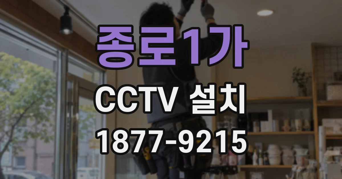 종로1가 CCTV 설치