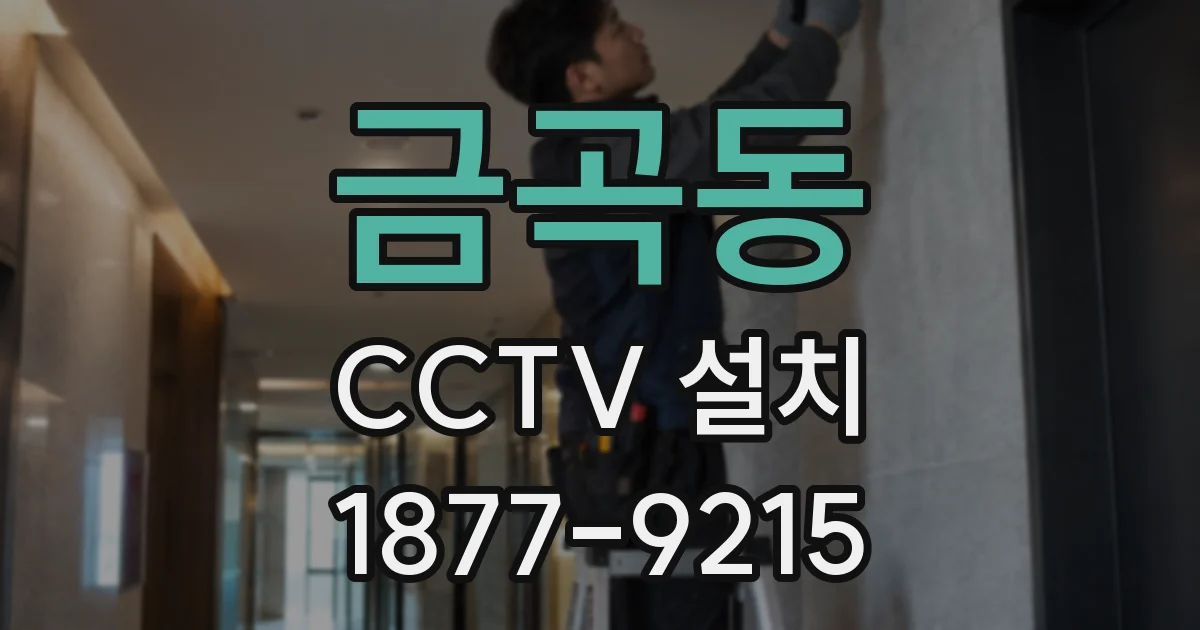 금곡동 CCTV 설치