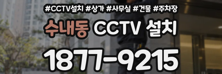 수내동 CCTV 설치