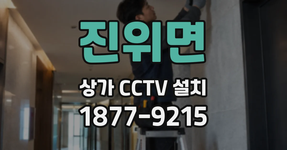진위면 상가 CCTV 설치