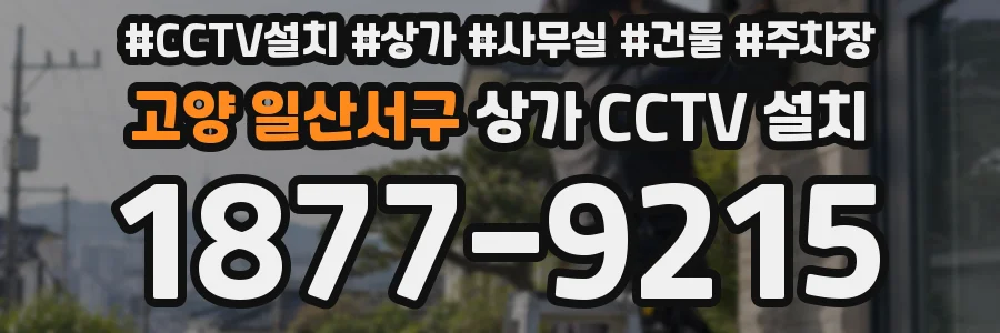 고양 일산서구 상가 CCTV 설치