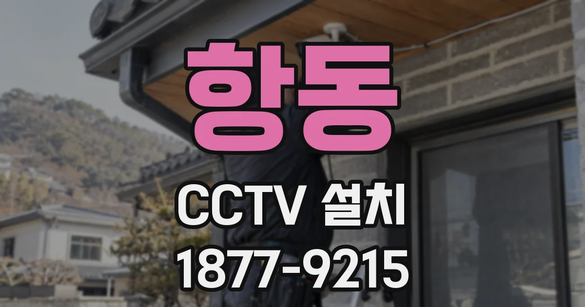 항동 CCTV 설치