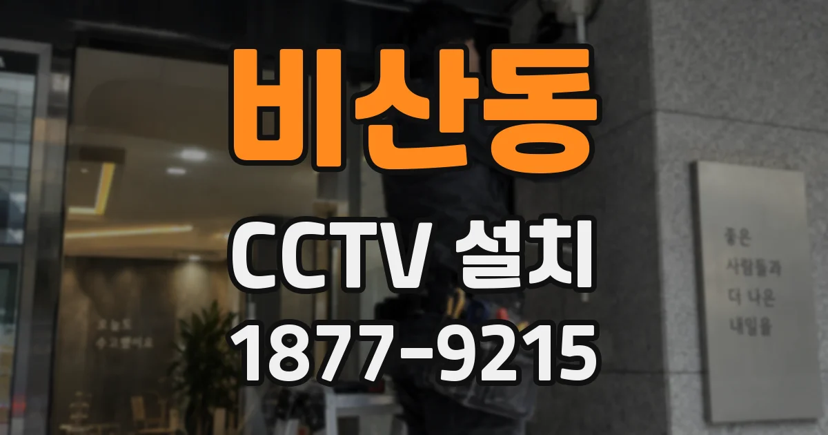 비산동 CCTV 설치