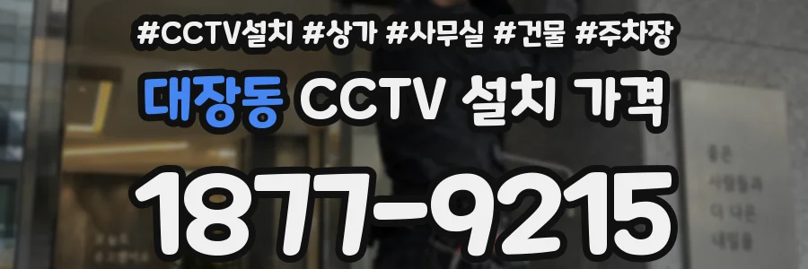 대장동 CCTV 설치 가격