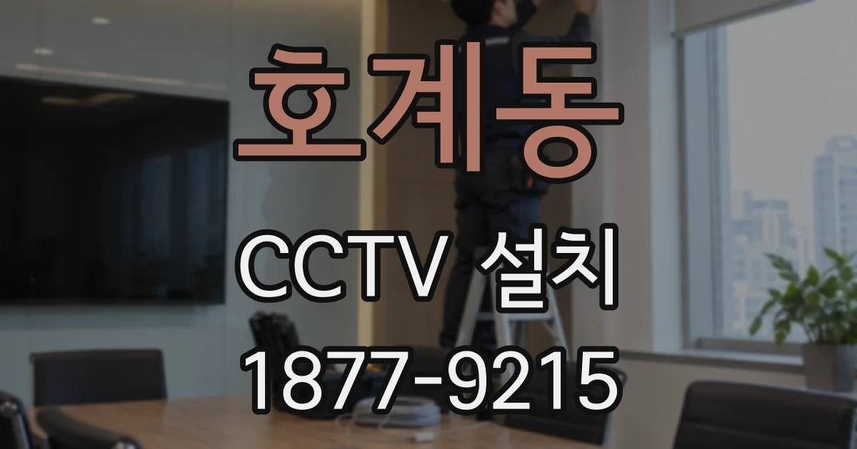 호계동 CCTV 설치