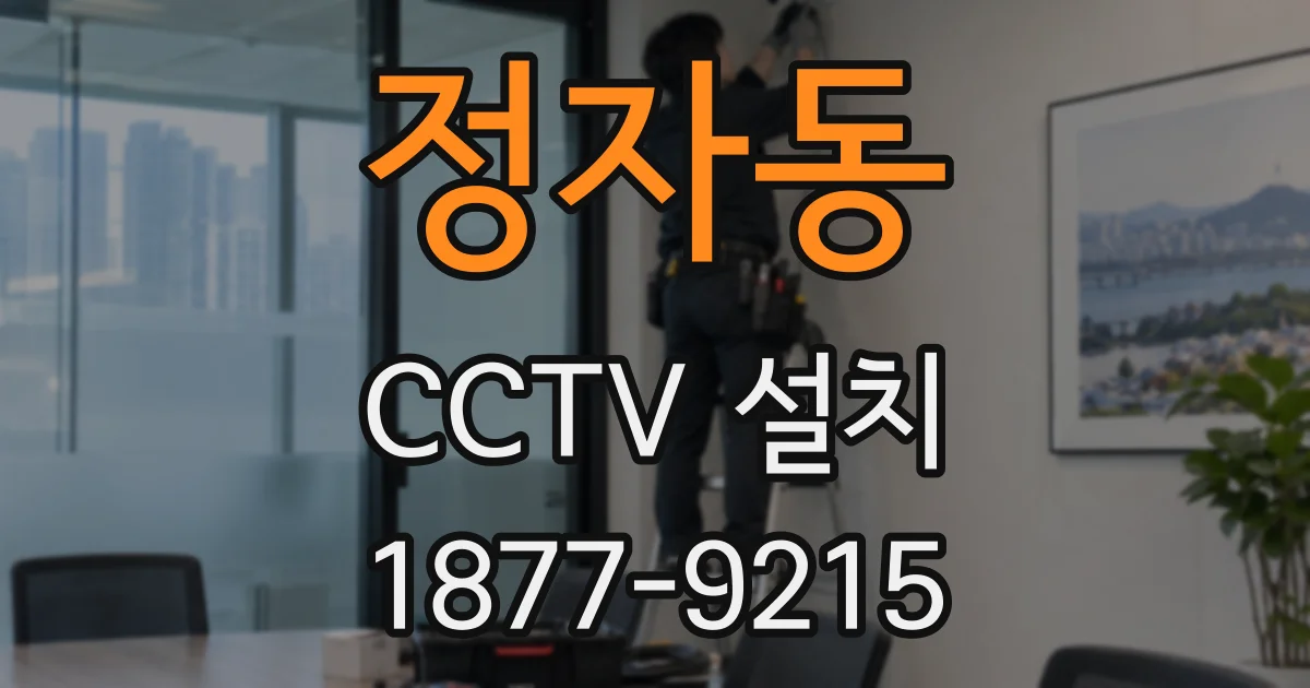정자동 CCTV 설치
