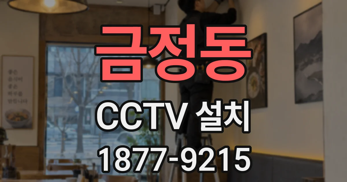 금정동 CCTV 설치