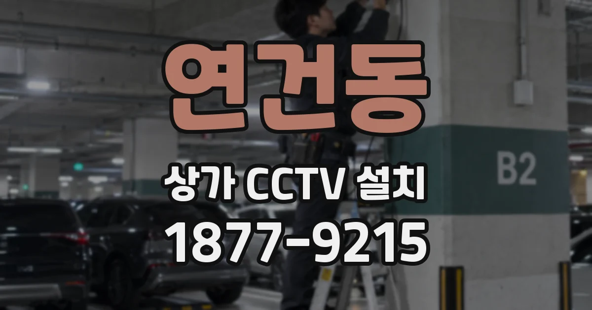 연건동 상가 CCTV 설치