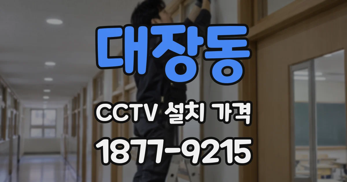 대장동 CCTV 설치 가격