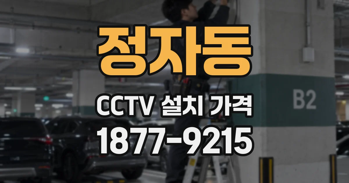 정자동 CCTV 설치 가격