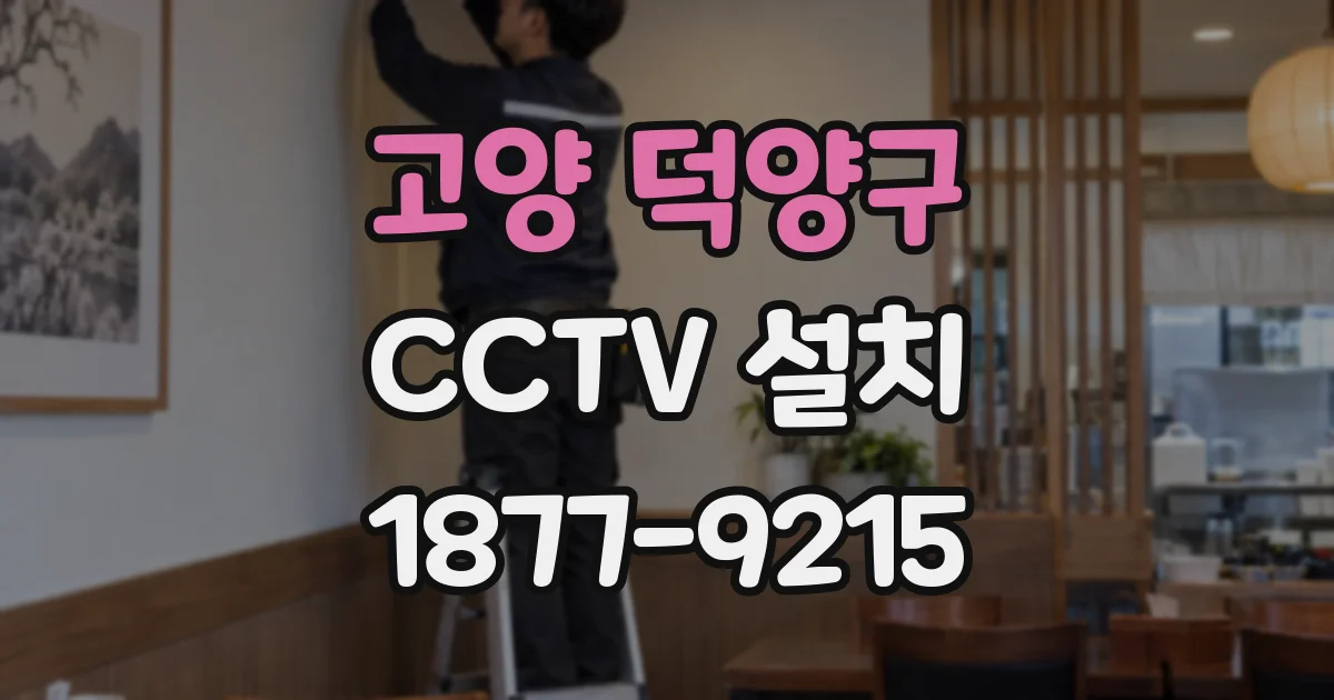 고양 덕양구 CCTV 설치