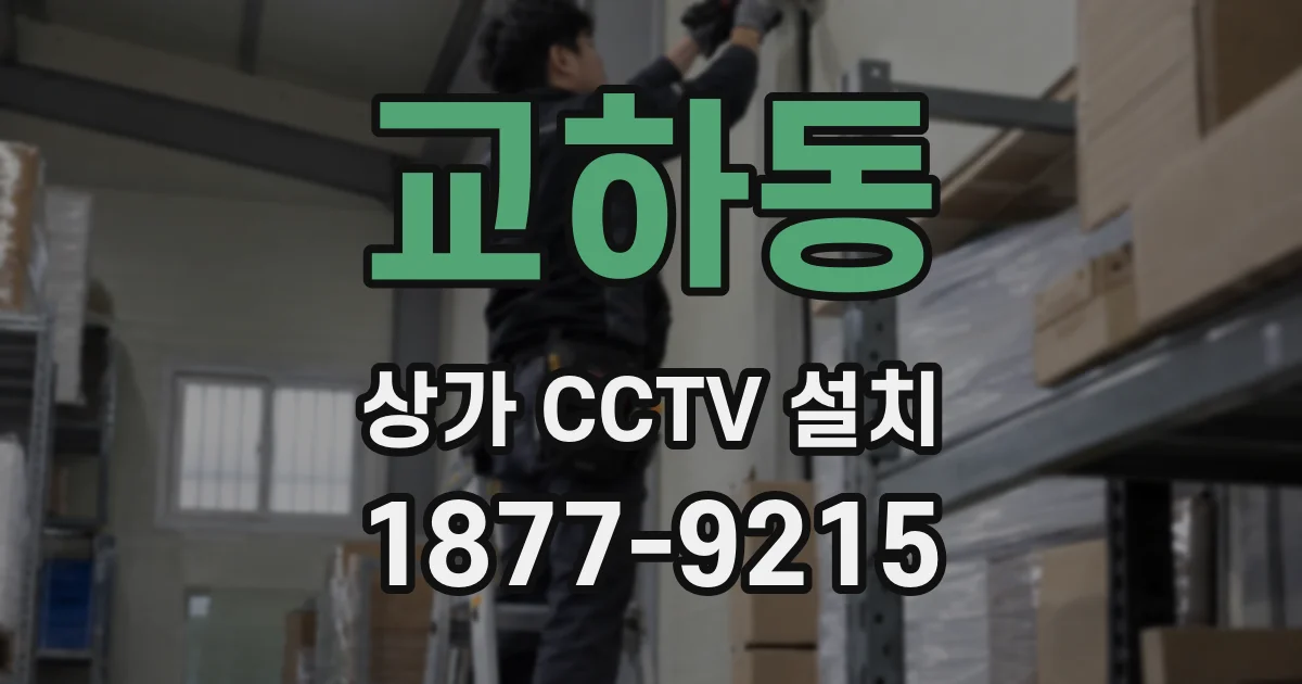 교하동 상가 CCTV 설치