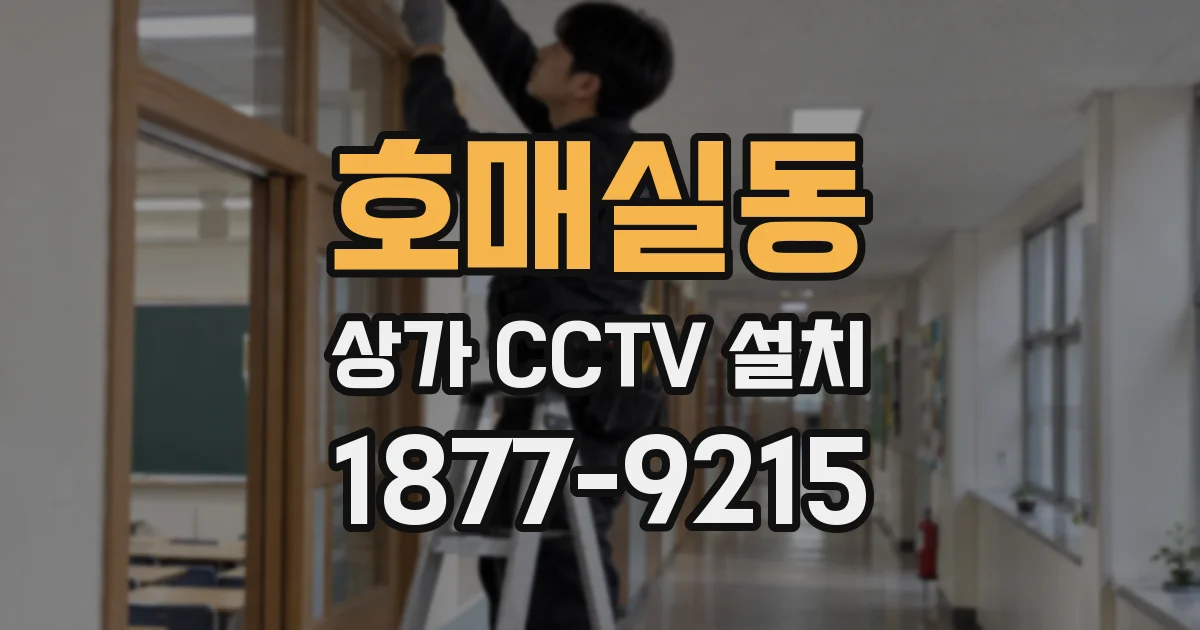 호매실동 상가 CCTV 설치