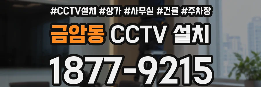 금암동 CCTV 설치