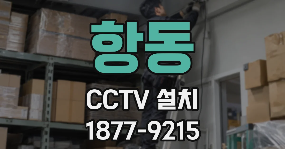 항동 CCTV 설치