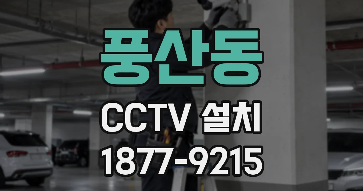 풍산동 CCTV 설치