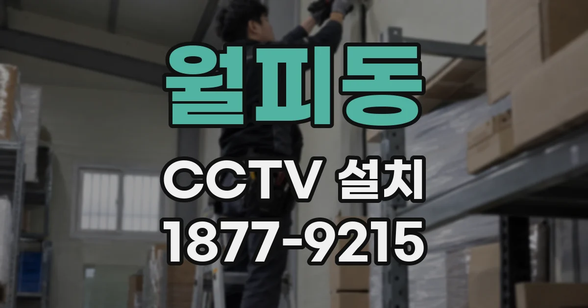 월피동 CCTV 설치