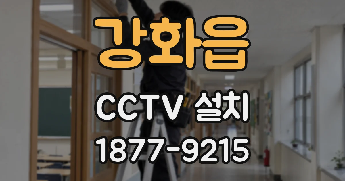 강화읍 CCTV 설치