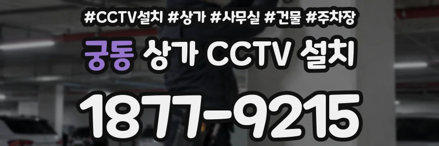 궁동 상가 CCTV 설치