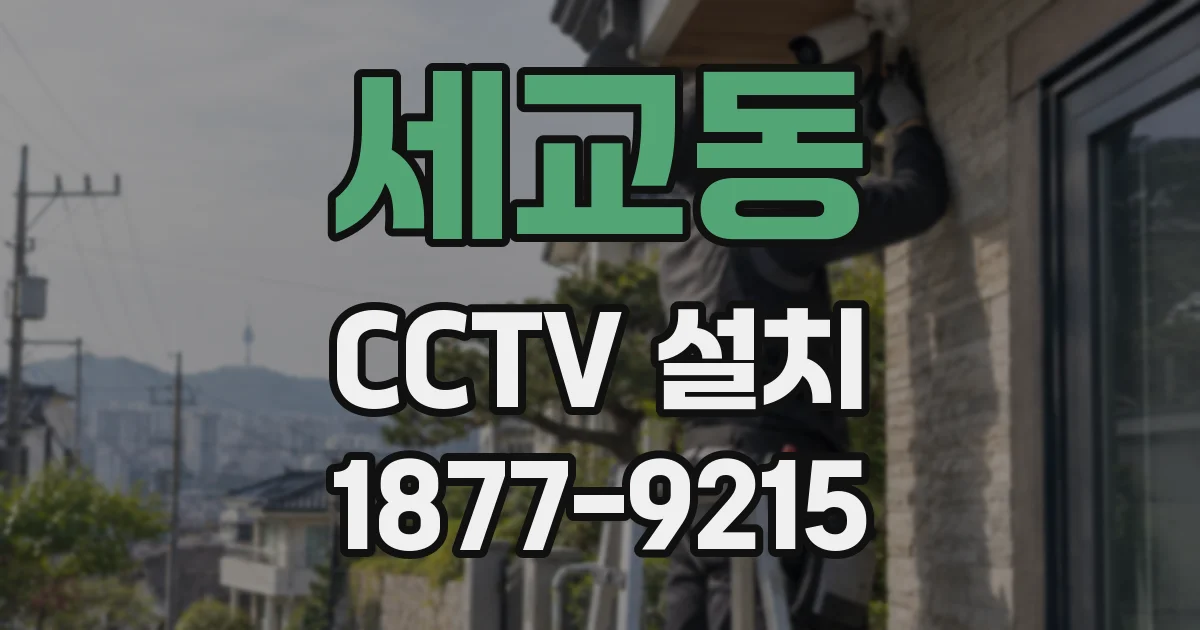 세교동 CCTV 설치