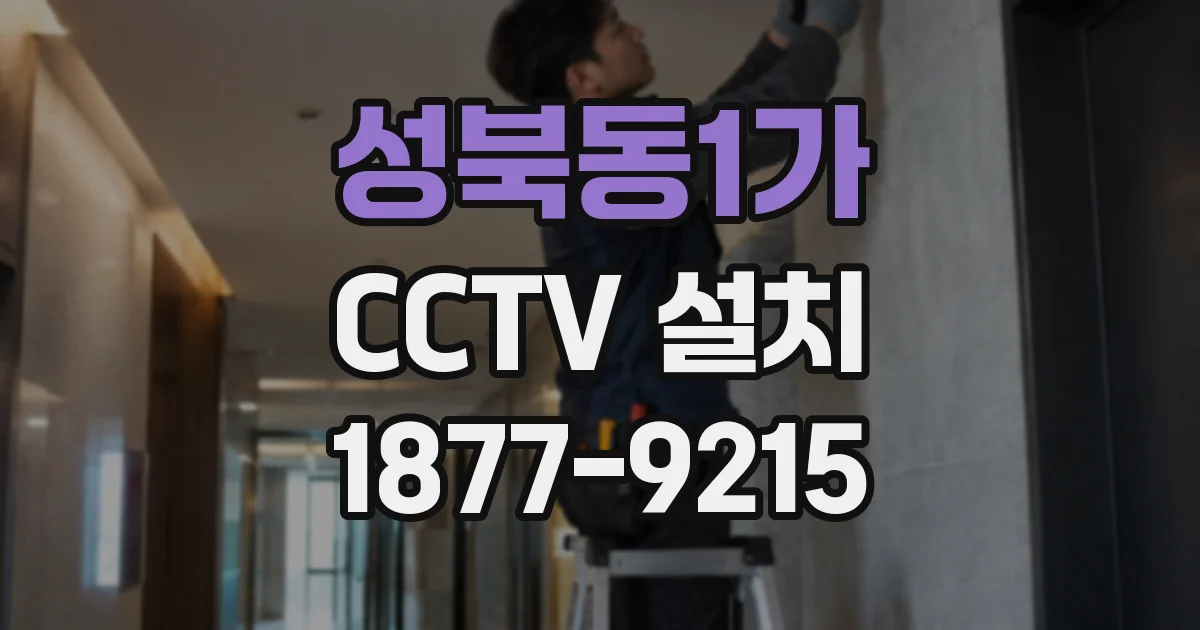 성북동1가 CCTV 설치