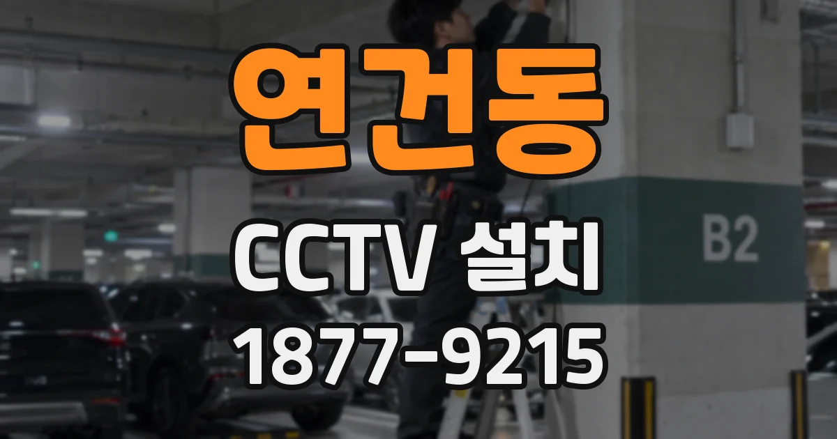 연건동 CCTV 설치